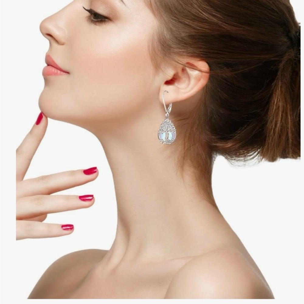 Silver Teardrop Earrings